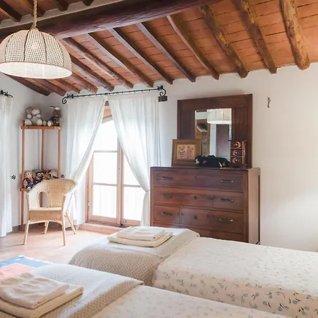 Tuscan Maggiorello *