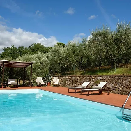 Tuscan Maggiorello *