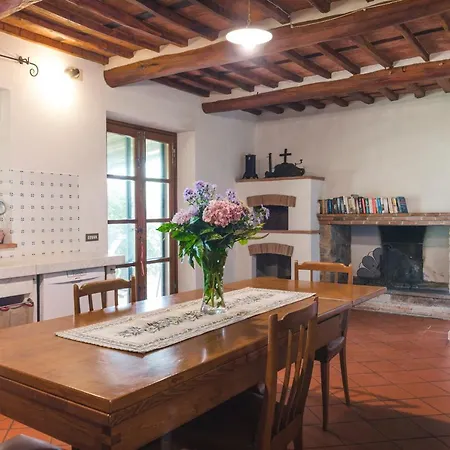 Tuscan Maggiorello Capannori